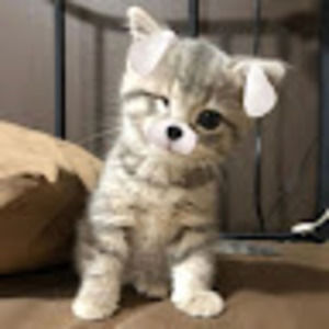 Meet your Posher, Kylee